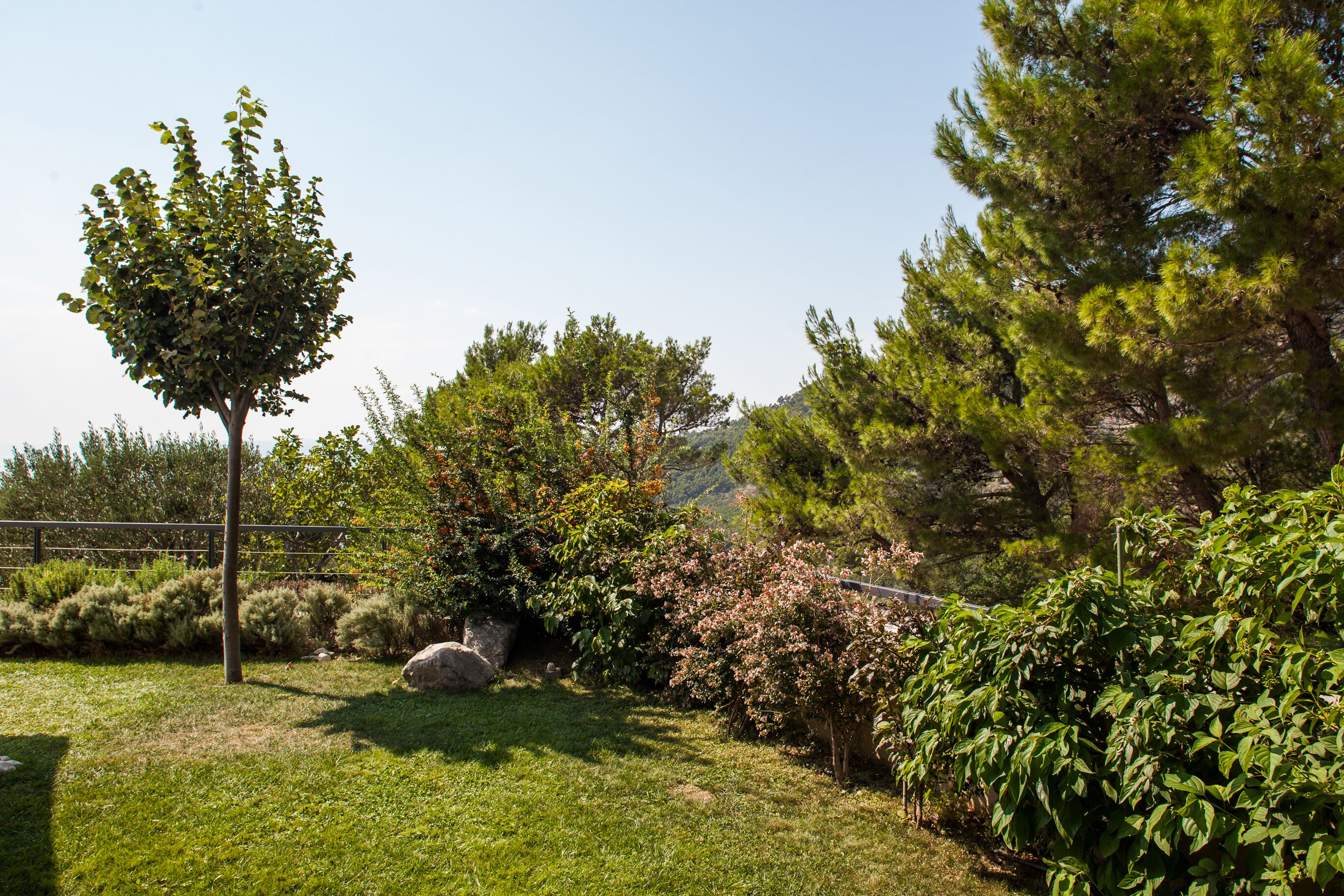 Een aangelegde tuin met diverse bomen en struiken, een metalen hek en een gazon.