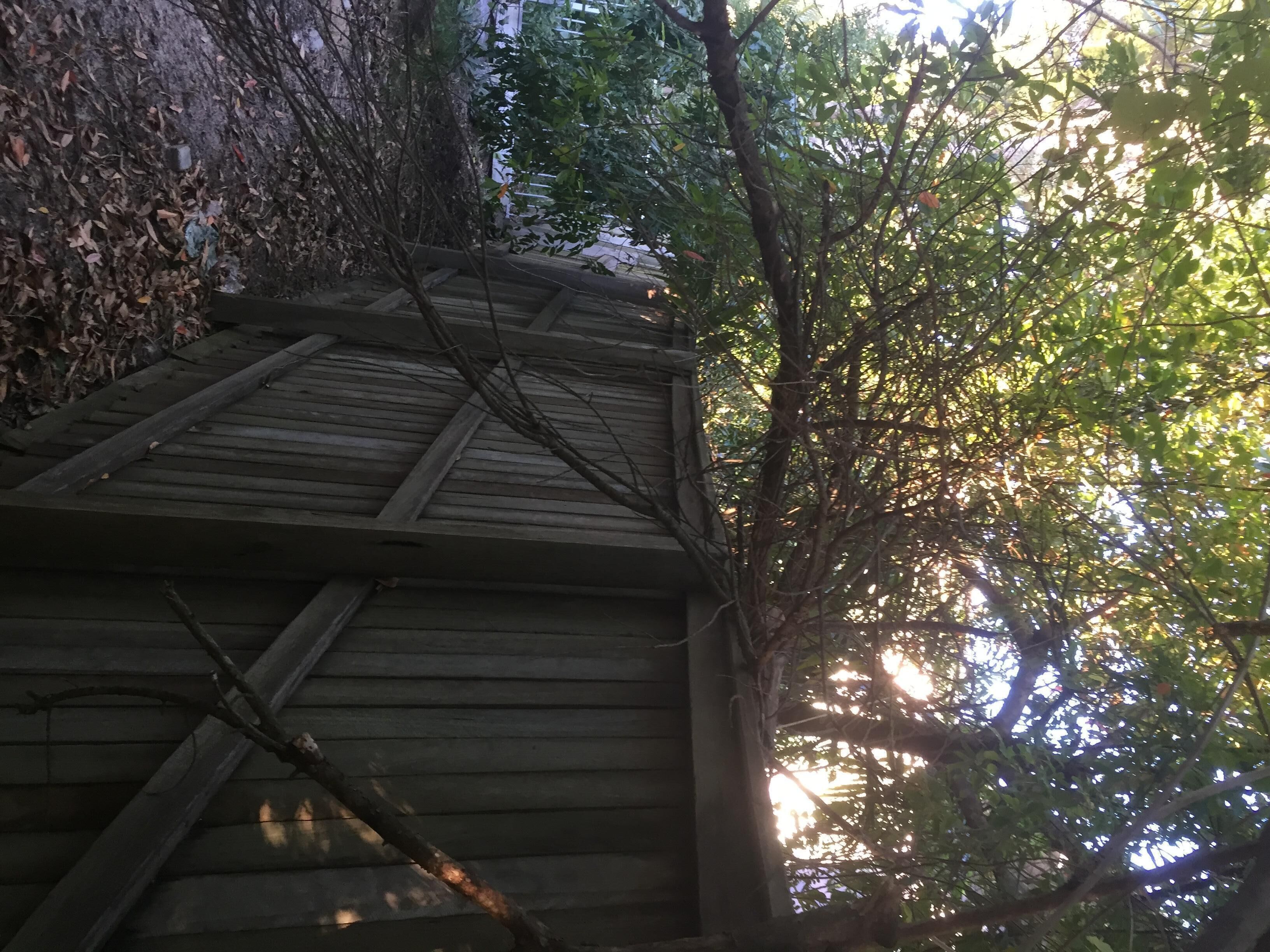Spacious 2 bedroom air conditioned 500 M. to Beach/Hastings Street — image 2