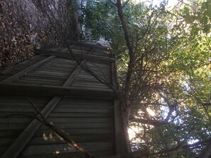 Staircase leads to a simple building surrounded by lush foliage and trees.