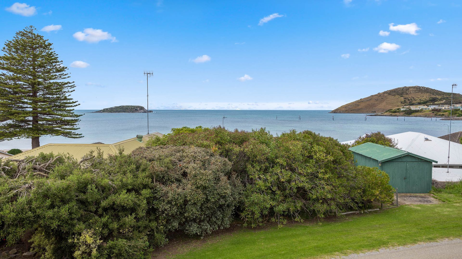 A coastal view with a large tree, a grassy area, and a building with a green roof.