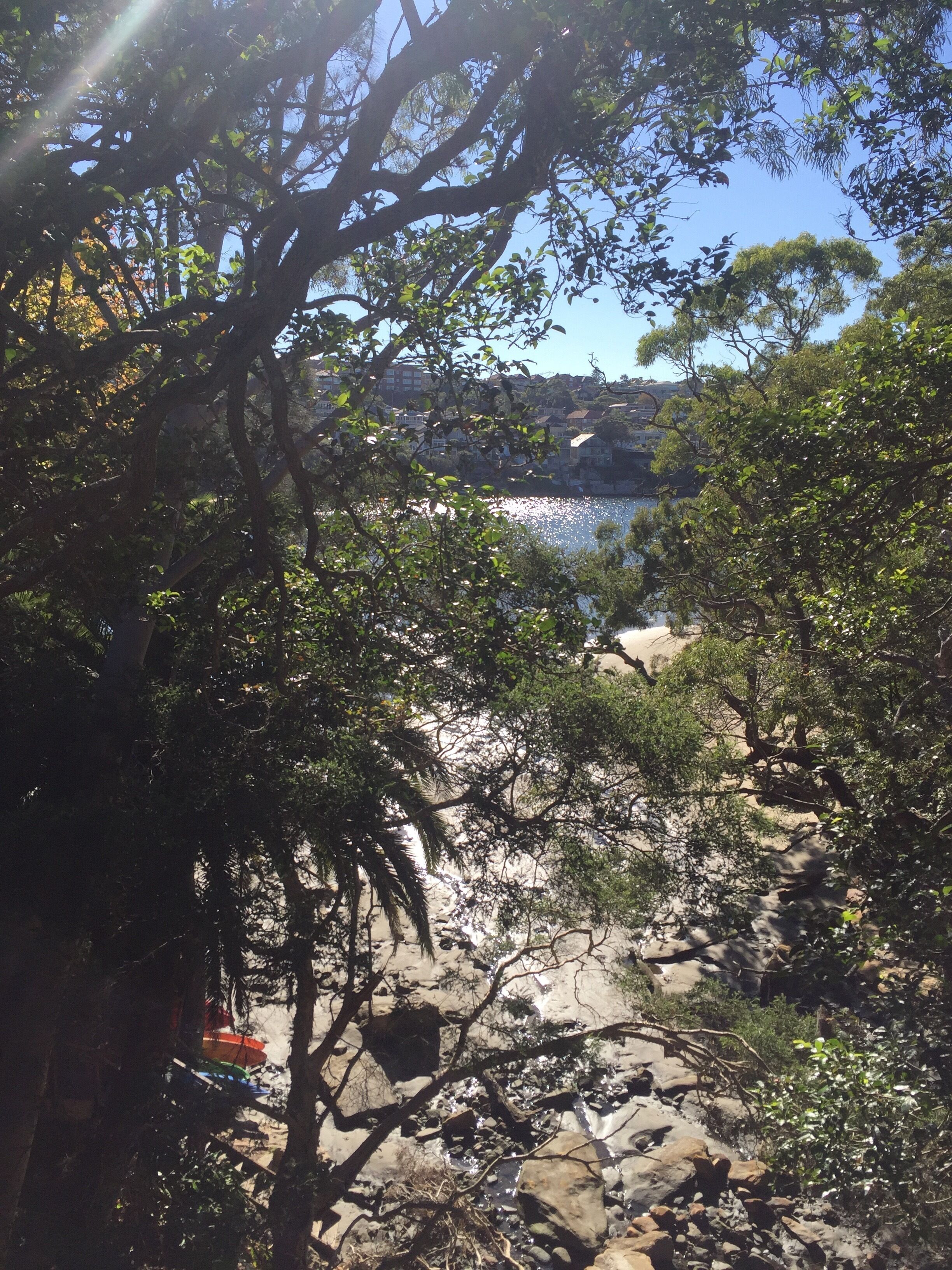 Quiet Private Sustainable  Harbourside Cottage - The Rangers Cottage — image 13