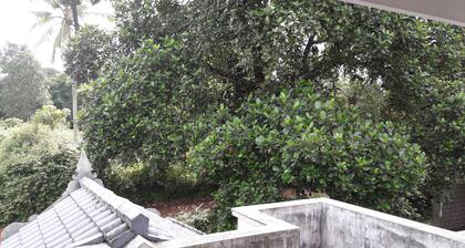 Green house -Meladoor-Thrissur-Kerala