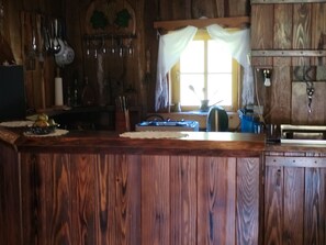 Fridge, oven, stovetop, cookware/dishes/utensils