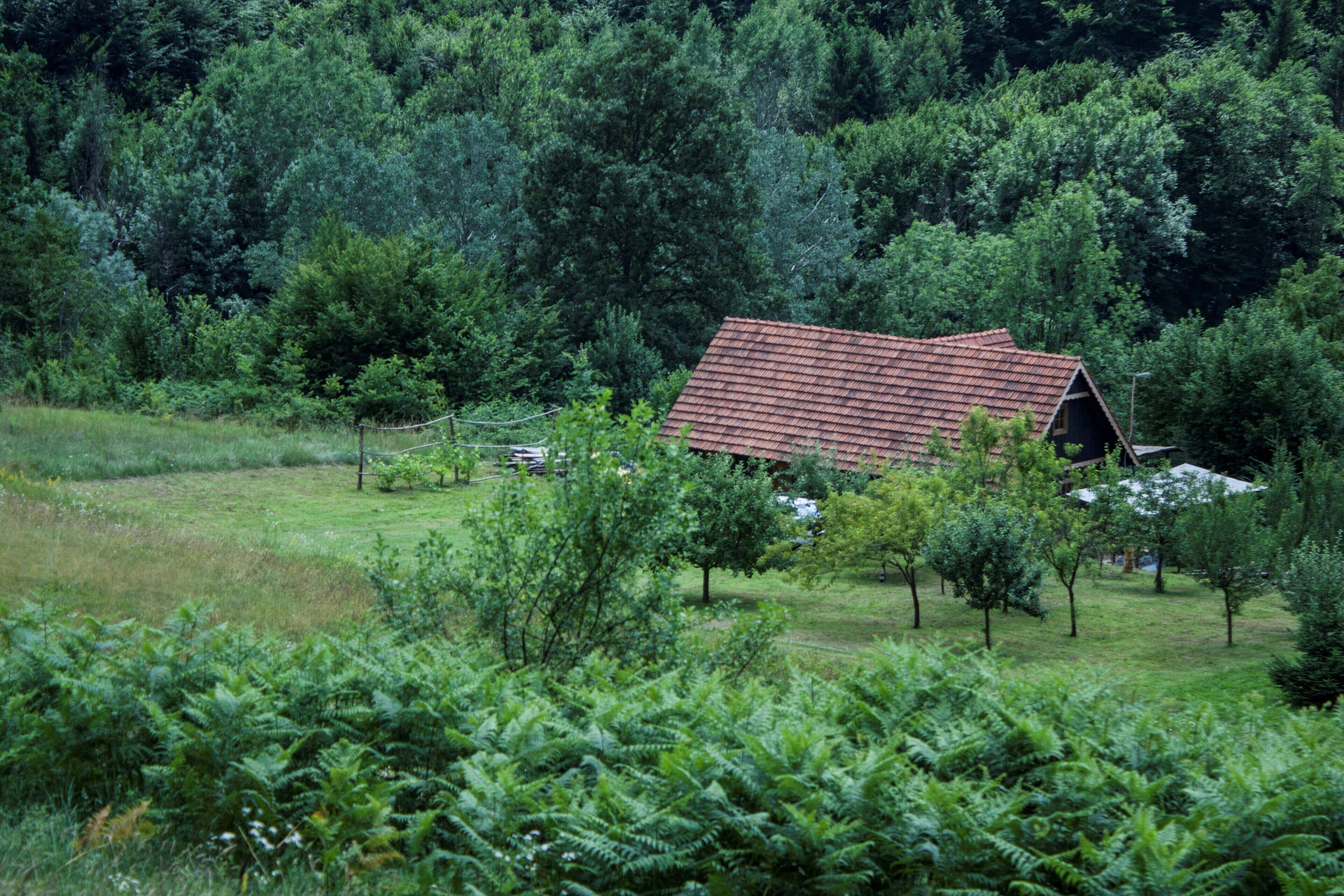 Parco della struttura