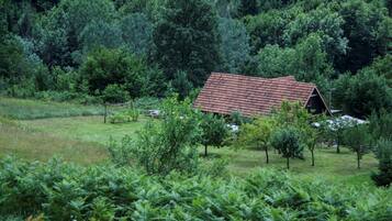 Parco della struttura