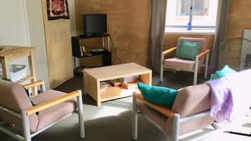 Televisión, reproductor de DVD, libros, videoteca