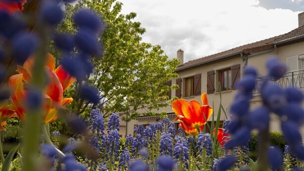 A garden with tulips and lavender in front of a building with a tiled roof and shuttered windows. - Countryside house - Le Rochepot - Cote d'Or (La Rochepot)
