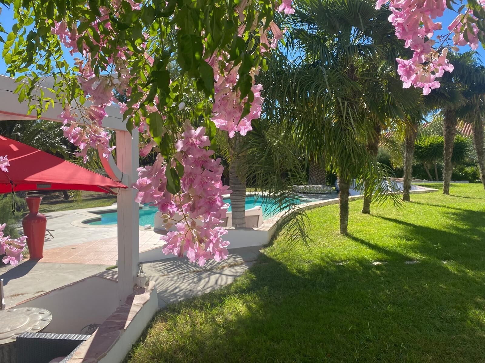 Un espace piscine agrémenté d’une pergola recouverte de fleurs roses, d’un parasol rouge et d’un ciel d’un bleu limpide.