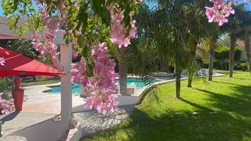 Un espace piscine agrémenté d’une pergola recouverte de fleurs roses, d’un parasol rouge et d’un ciel d’un bleu limpide.