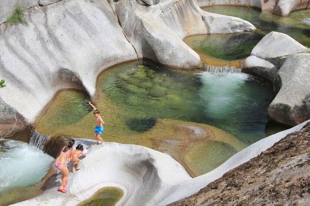 C. R. "Carvajal "- Birding & Horse Trekking Center