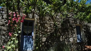 Un bâtiment en pierre avec une porte bleue et des volets aux fenêtres, entouré de verdure et d’une plante en fleurs.