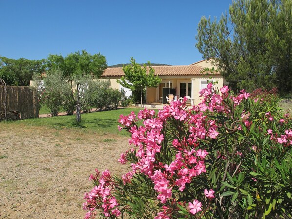 Àrea exterior de l'allotjament