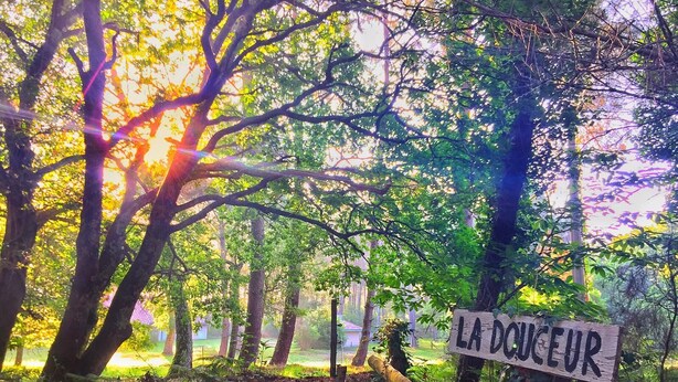 A sign in a forest with the text "LA DOUCEUR" visible. - Typical house from the Landes (Linxe)