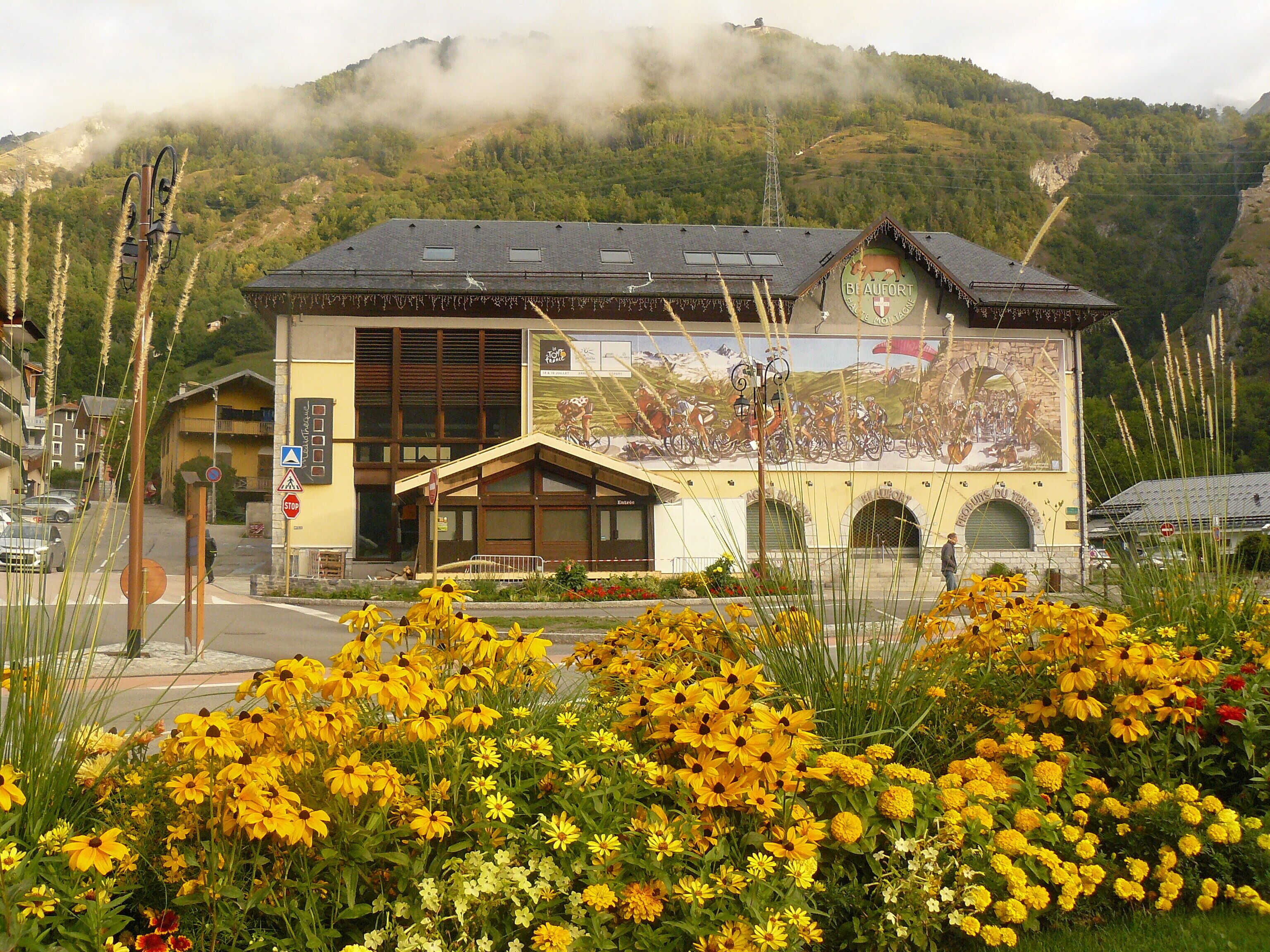la coopérative de fromage locaux