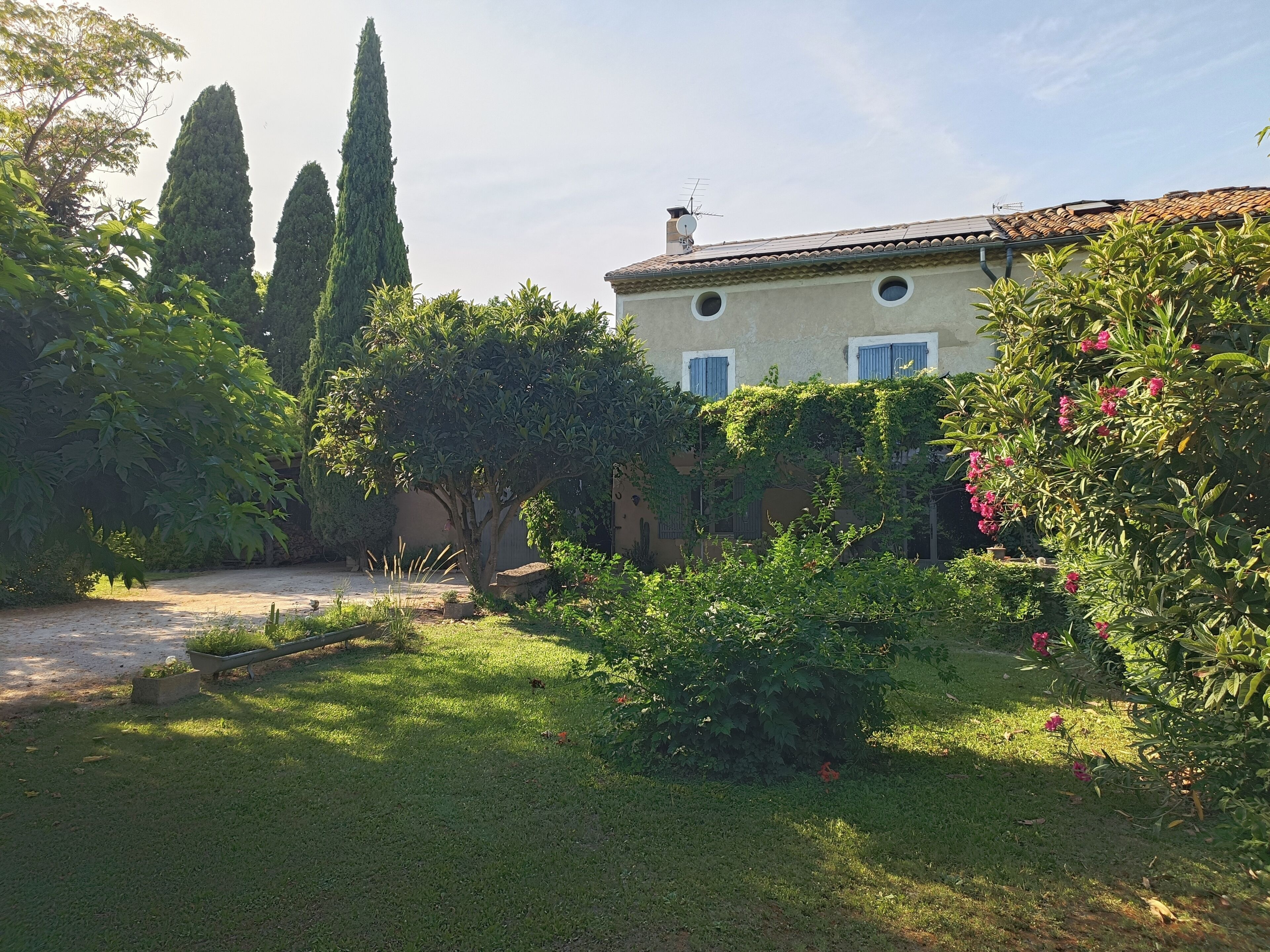 A house with a garden, a paved driveway, and tall trees.