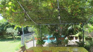 A covered patio with a table and chairs, surrounded by greenery and a fence.