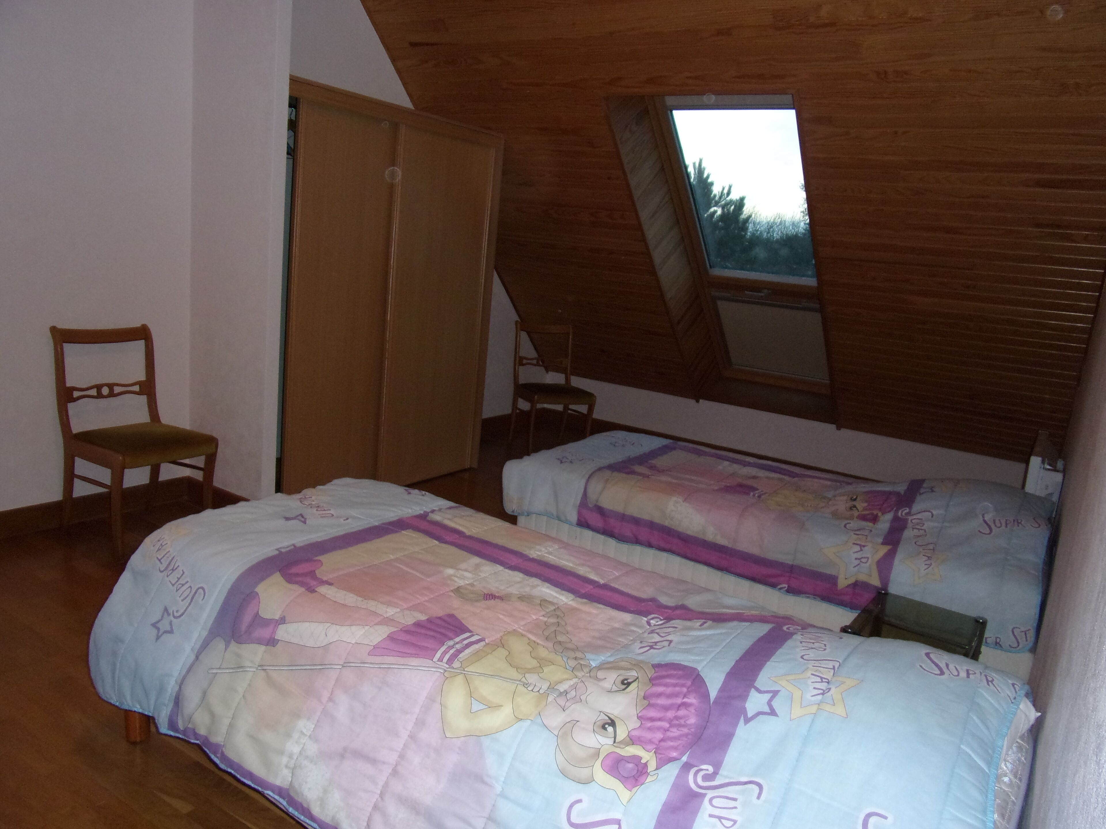 A bedroom with two beds, wooden furniture, and a sloped ceiling with a skylight.