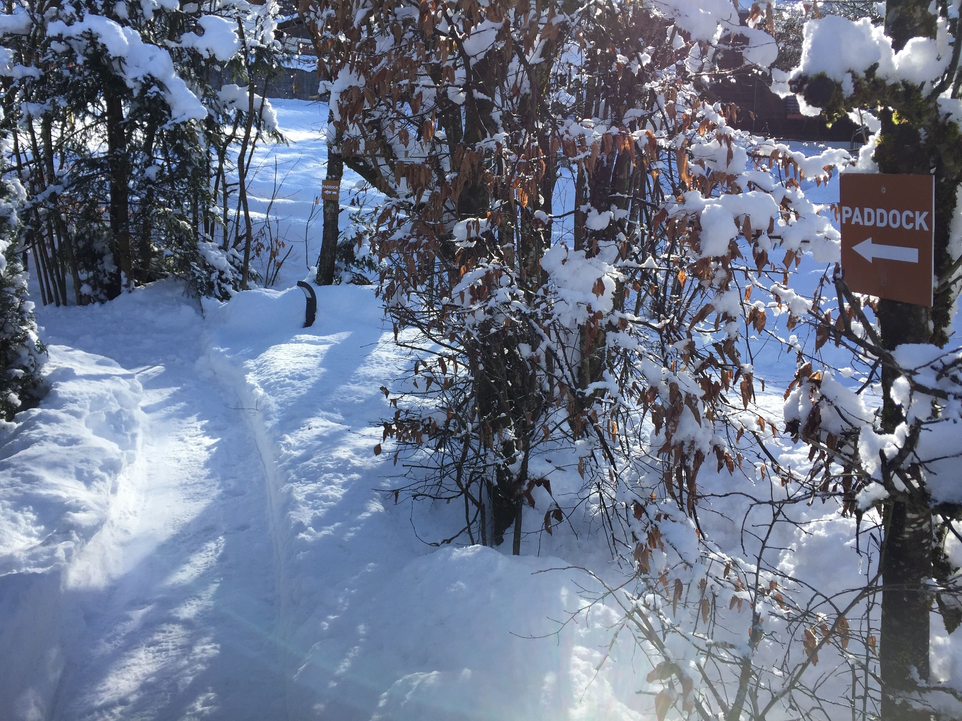 Enceinte de l’hébergement