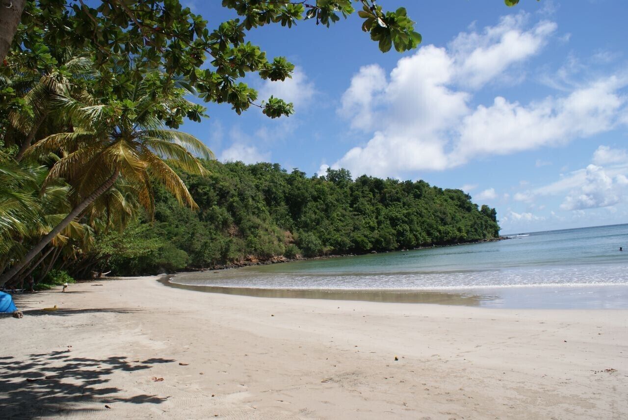 ビーチの近く、ビーチタオル