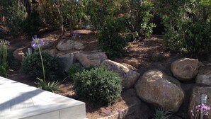 Un jardí amb escales de pedra que baixen cap a una zona rocosa plena de plantes i flors diverses.