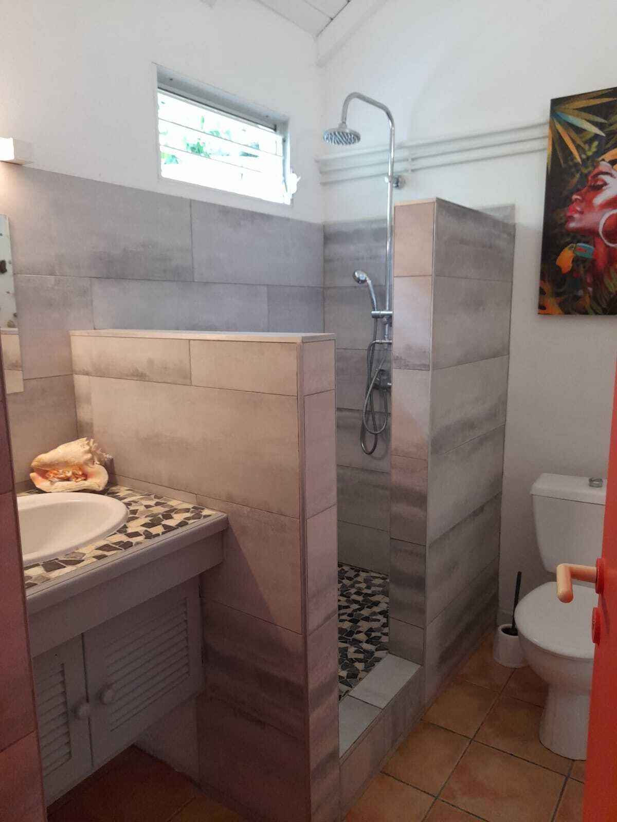 Hair dryer, towels, soap