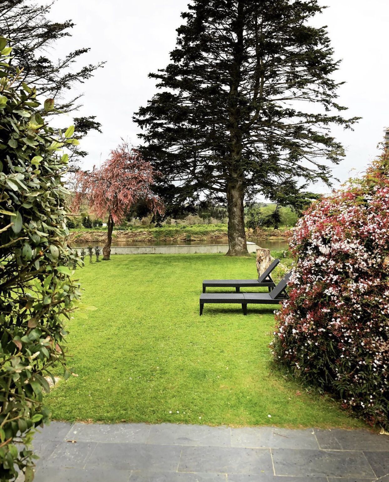 Un espace verdoyant bien entretenu, avec un sentier en pierre menant à un banc.