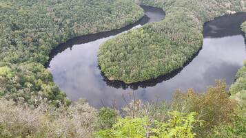Un río serpenteando por un bosque denso, con una pequeña isla en el centro.