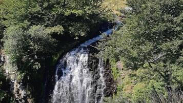 A waterfall surrounded by lush greenery and a clear sky.