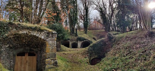 House restored in calm village with the doors of the volcanos of auvergne