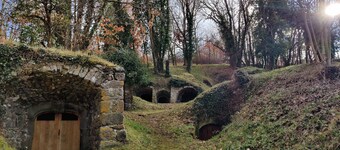 La Bergerie**+jacuzzi avec supplément  St-Genès Champanelle 
 Volcans d'Auvergne