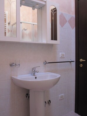 Regadera, secadora de cabello, bidet, toallas 