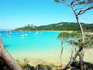 Plage à proximité, chaises longues, serviettes de plage
