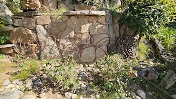 Área da propriedade