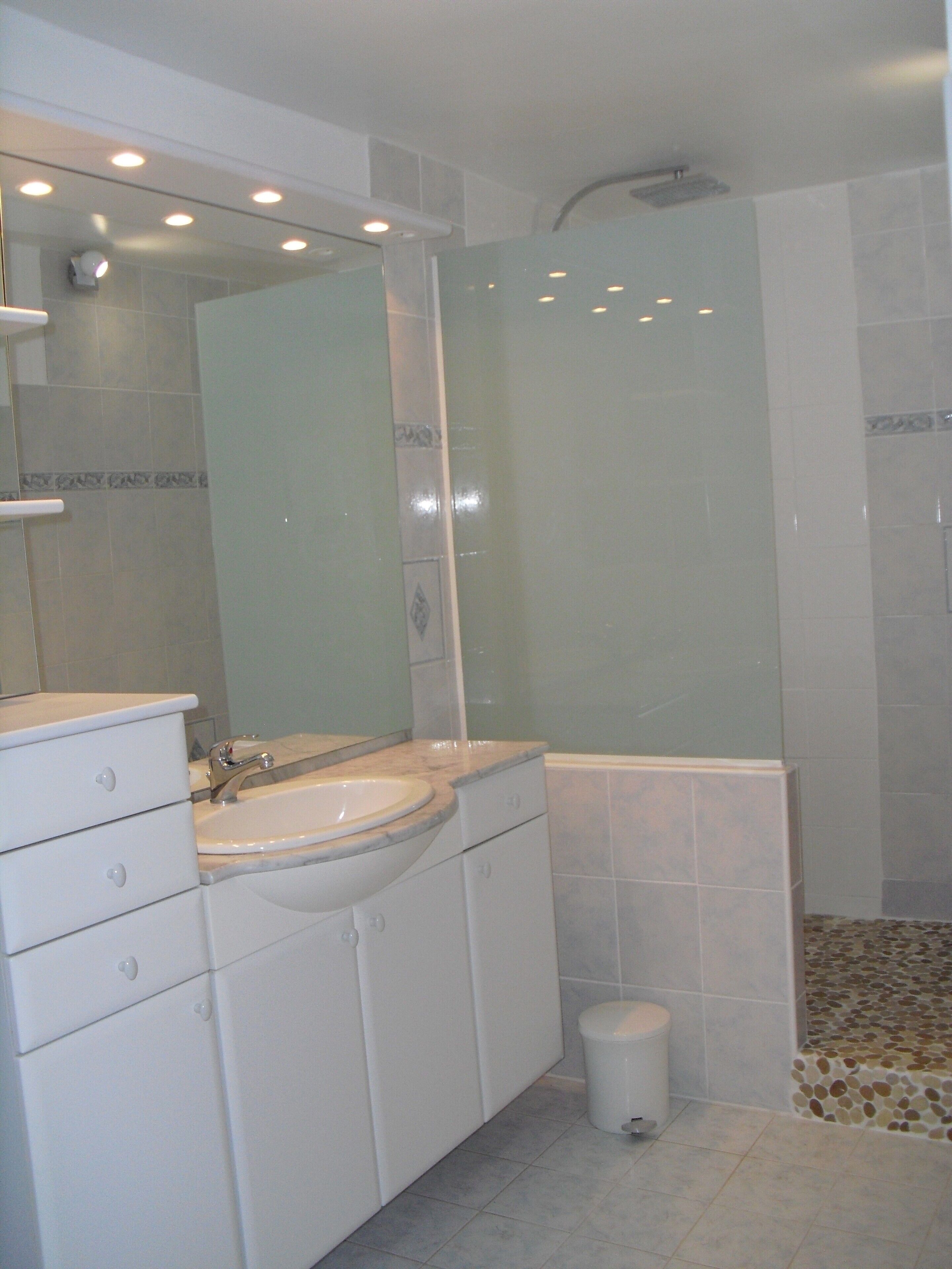 Shower, hair dryer, bidet