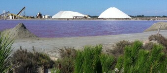 Fine og lyse 75m ² leilighet med hage inngjerdet