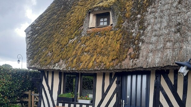 A traditional building with a moss-covered thatched roof, a wooden bench, and a table with a bowl. - In the estuary of the Seine, a few minutes away from Honfleur, a real Longere (Eure)