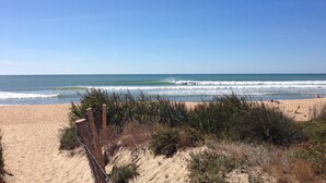 Une plage avec une clôture en bois et de la végétation au premier plan, qui mène à l’océan.