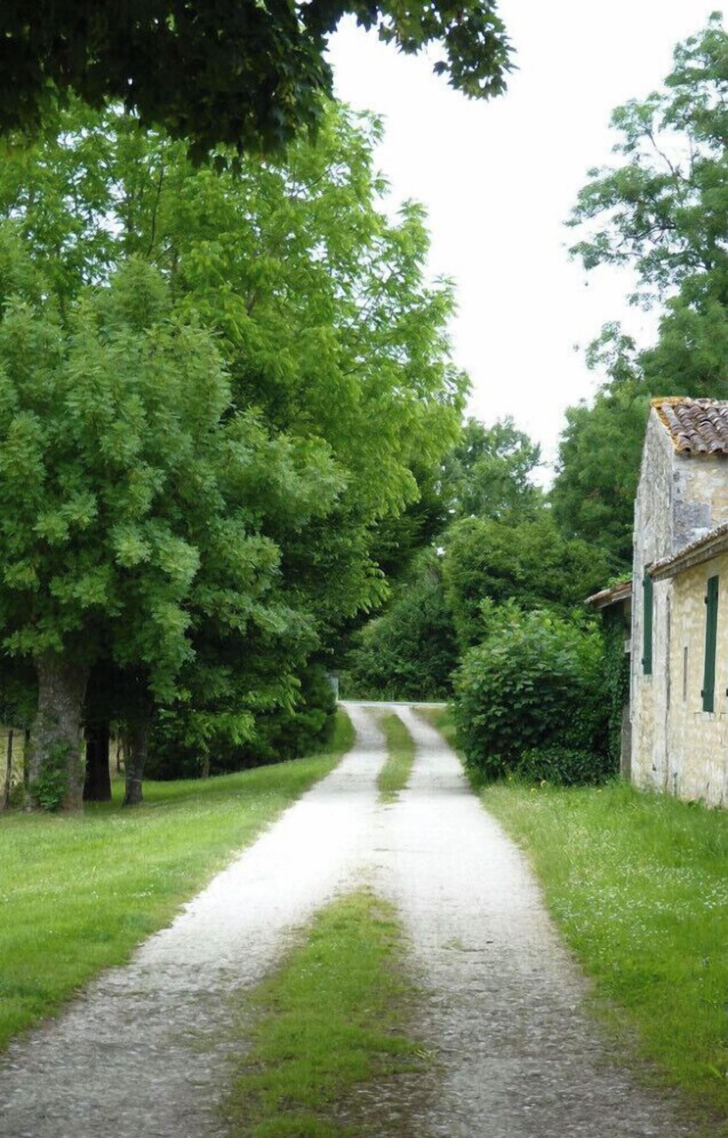 A narrow, paved path flanked by lush green trees and a stone building with a tiled roof.