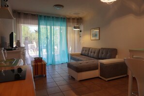 TV, DVD player - Apartment with the feet in the water, all the stores (Calvi)