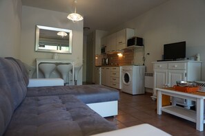 TV, DVD player - Apartment with the feet in the water, all the stores (Calvi)