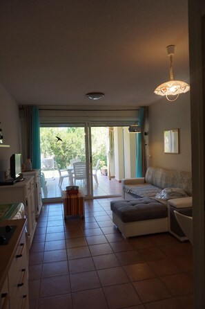 TV, DVD player - Apartment with the feet in the water, all the stores (Calvi)