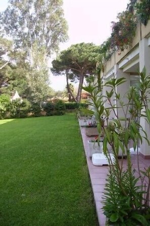 Property grounds - Apartment with the feet in the water, all the stores (Calvi)