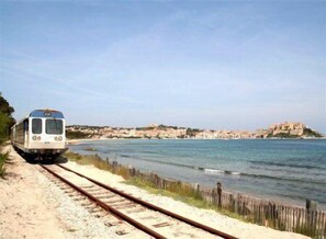 Beach nearby - Apartment with the feet in the water, all the stores (Calvi)