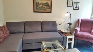 Télévision, lecteur de DVD, livres