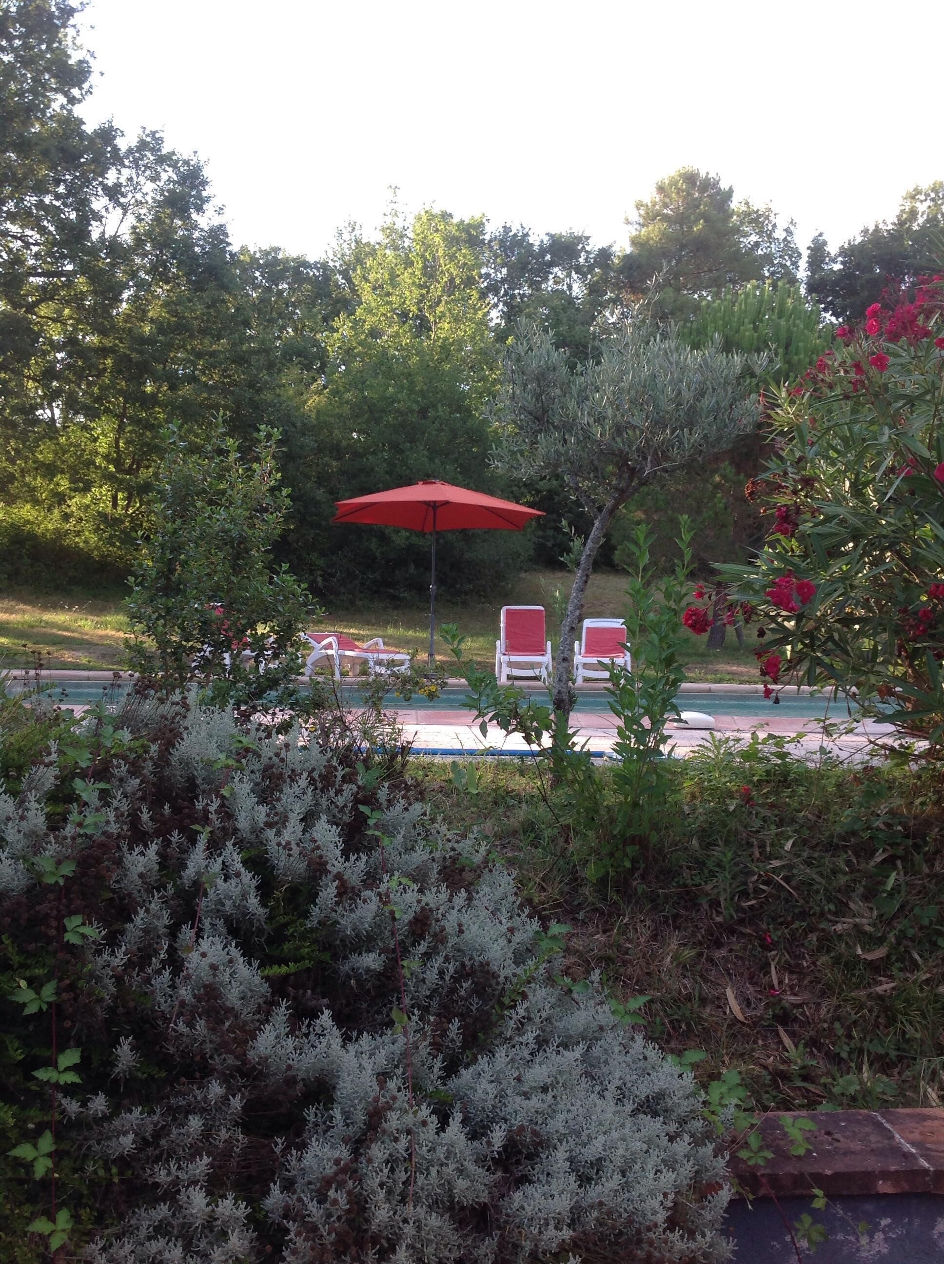 A garden area with a red umbrella, white lounge chairs, and a pool in the background.