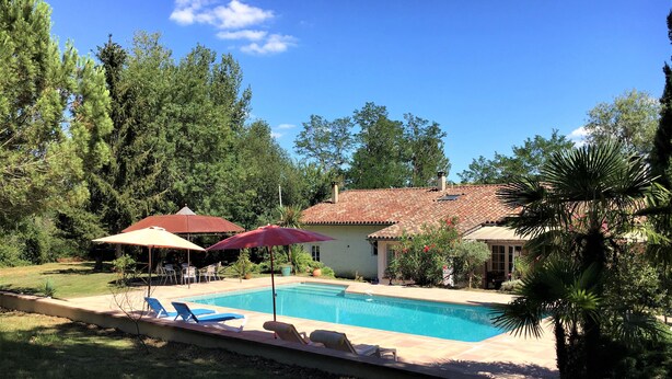 Un jardin avec une piscine, des chaises longues et des parasols.