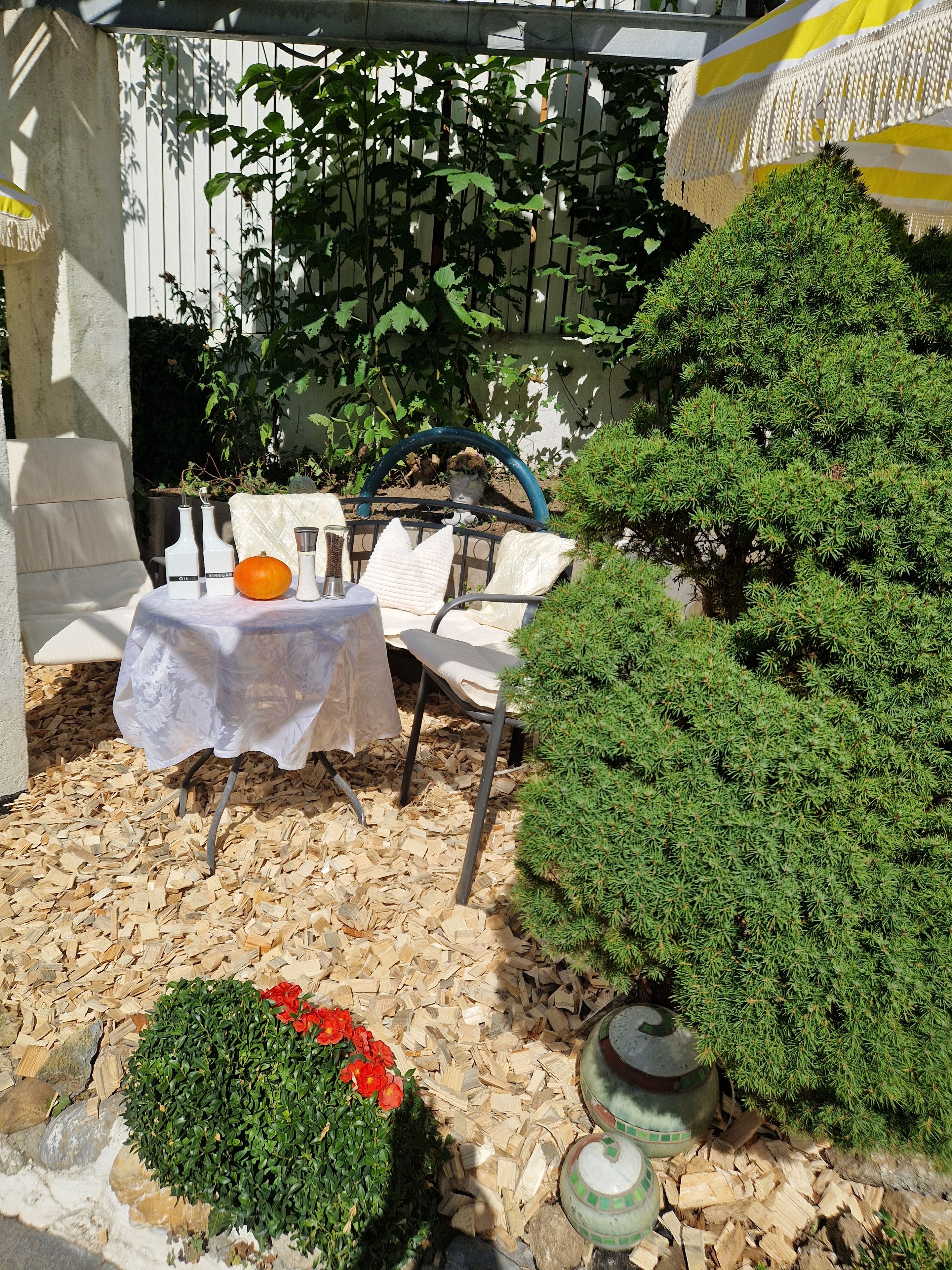 Un patio con un tavolo apparecchiato per due persone, circondato da piante e una recinzione decorativa.