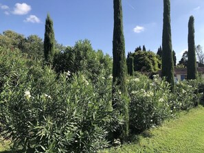 Overnattingsstedets uteområder