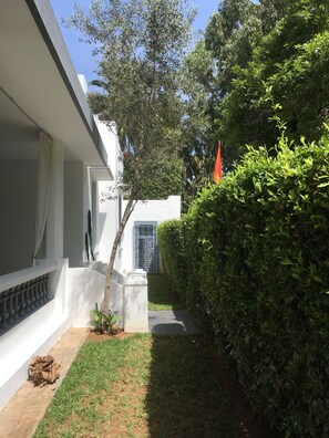 Área da propriedade