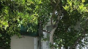 تفاصيل الفندق من الخارج